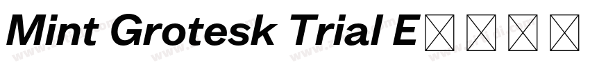 Mint Grotesk Trial E字体转换
